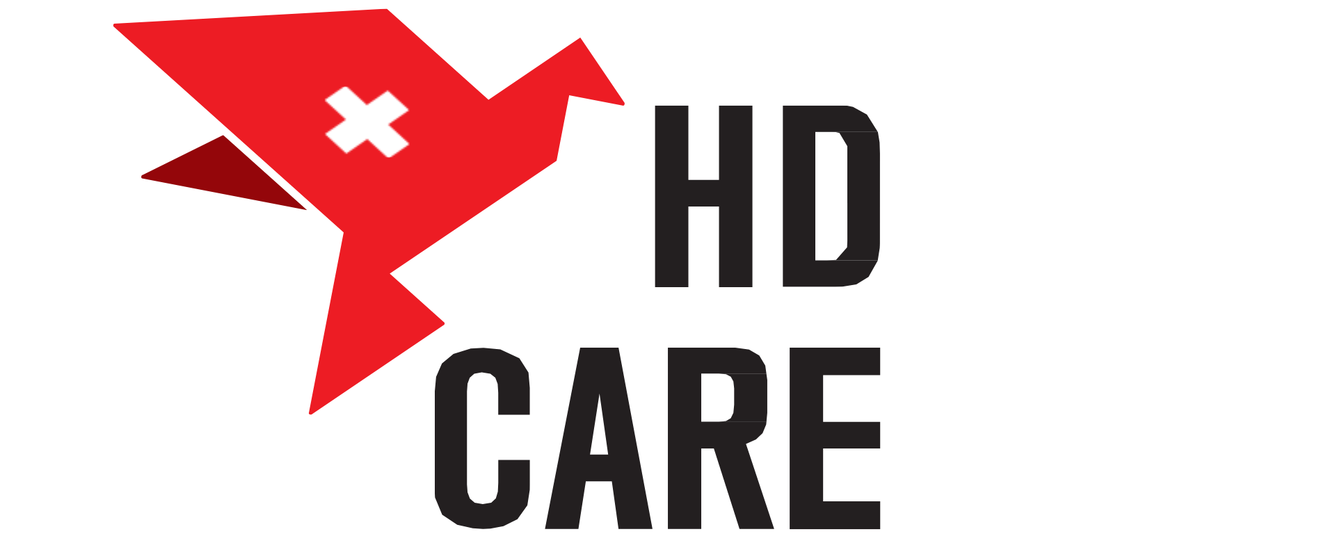 Logo HD CARE